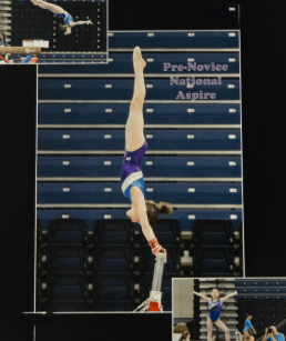 Alumni spotlight profile for Kaelin Williamson. To the left, a vertical action shot shows her performing a perfect handstand on the uneven bars in a purple and white leotard during a competition. To the right, a modern portrait shows Kaelin smiling in a blue and white Toronto Maple Leafs jacket. The text describes how All Star shaped her work ethic and passion for fitness from the age of six.