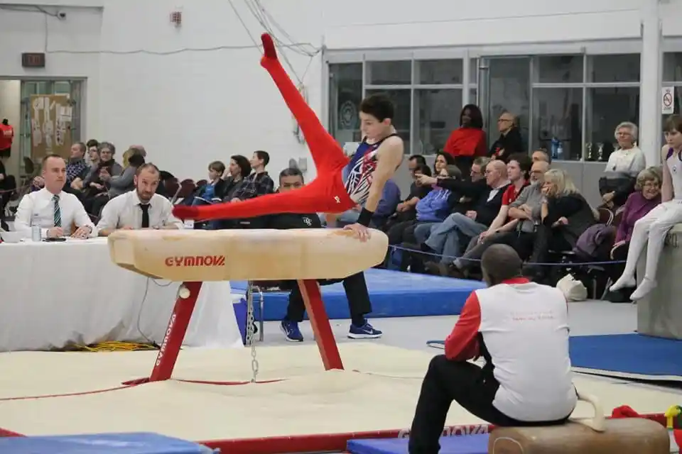 Photo gallery showing gymnasts celebrating with coaches, kids sitting on mats, and athletes competing on pommel horses.